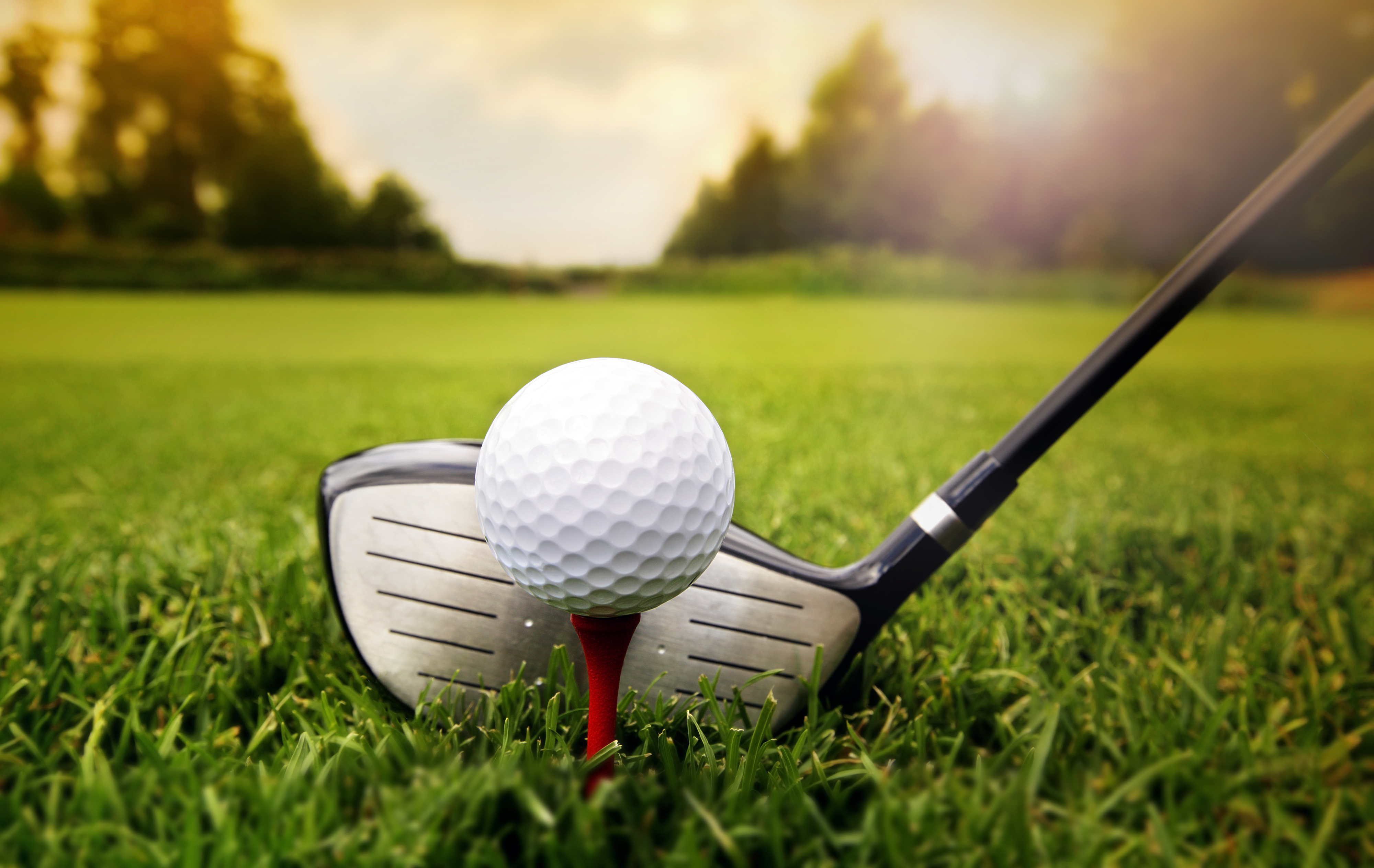 golf-club-driver-and-ball-2